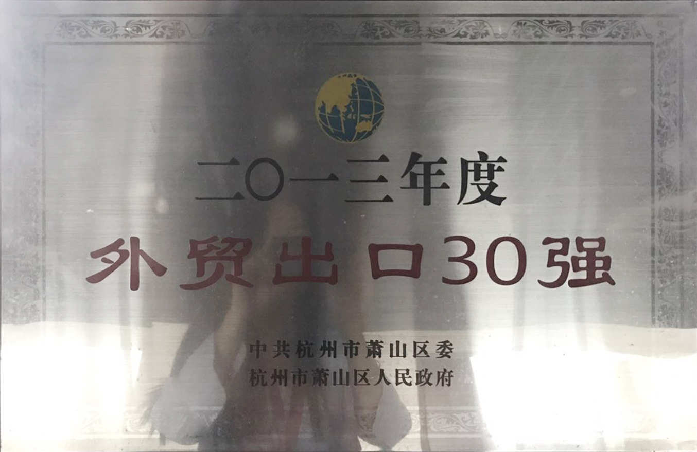 2013年度“外贸出口30强”奖牌